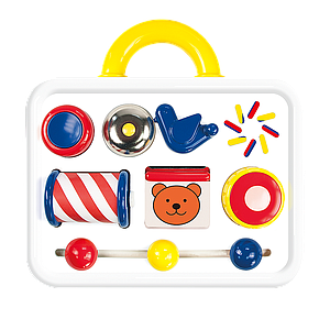 ACTIVITY CASE EN