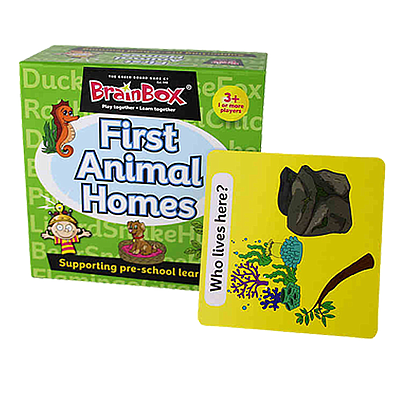 BRAINBOX FIRST ANIMAL HOMES SQUARE BOX EN