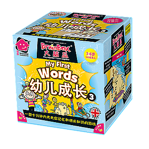 BRAINBOX MY FIRST WORDS SQUARE BOX (大脑瓜：幼儿成长3)